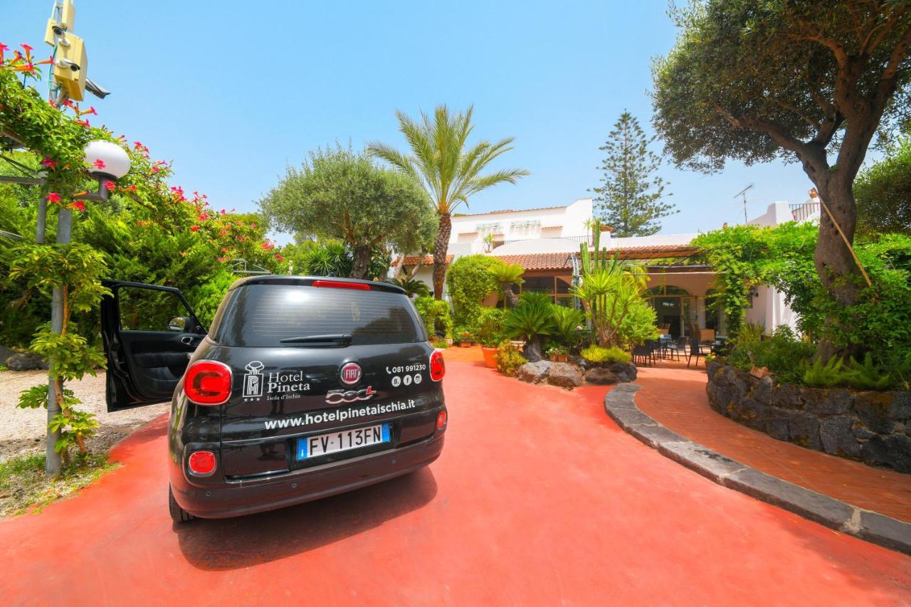 Hotel Pineta Ischia Dış mekan fotoğraf