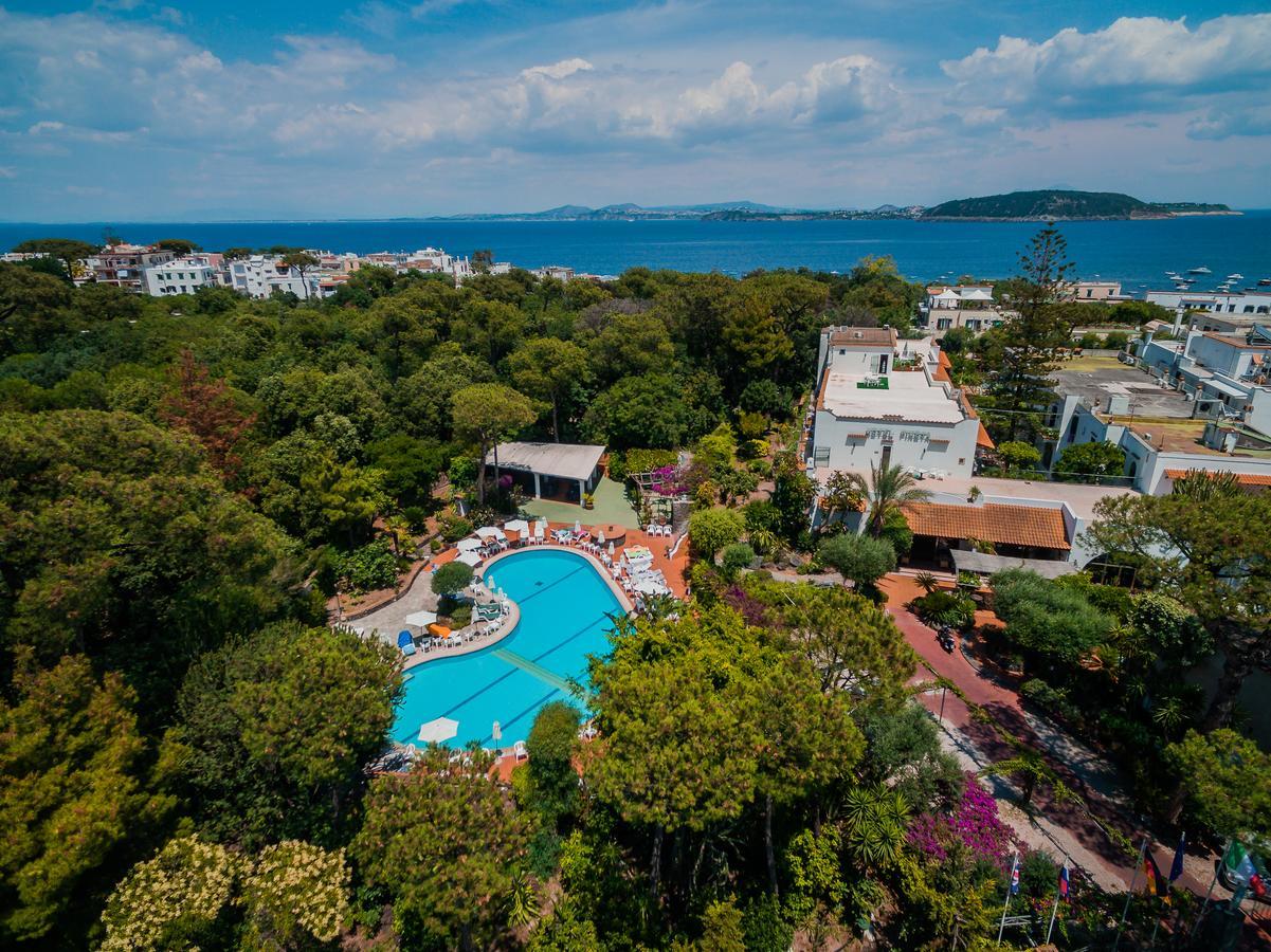 Hotel Pineta Ischia Dış mekan fotoğraf